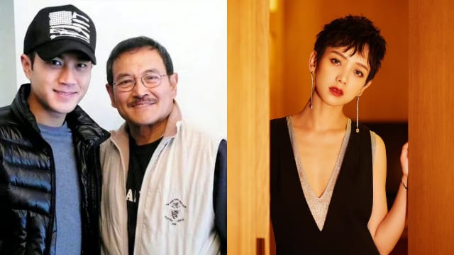 刘恺威认爱李晓峰　刘丹盼儿子带新欢回香港过年