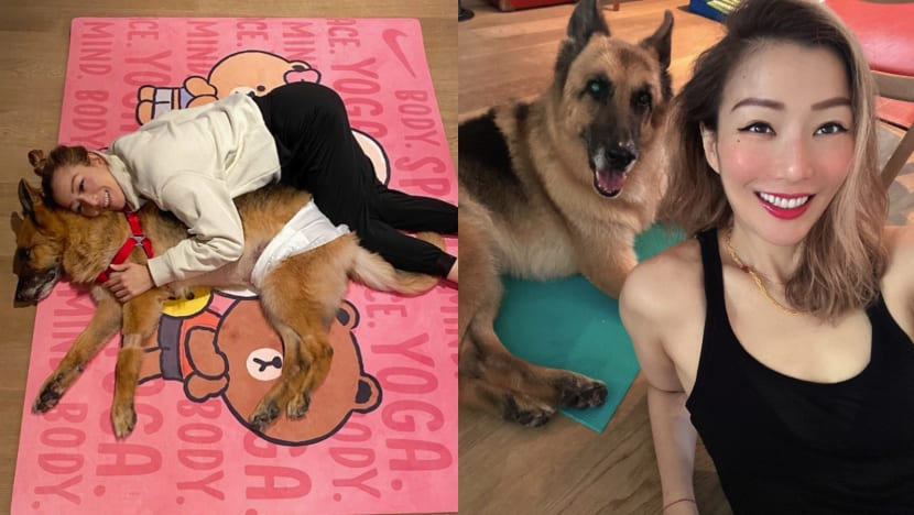 “He Is No Longer Suffering”: Sammi Cheng Bids Farewell To 15-Year-Old Pet Dog “He Is No Longer Suffering”: Sammi Cheng Bids Farewell To 15-Year-Old Pet Dog