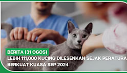 BERITA (31 Ogos) | Lebih 111,000 kucing dilesenkan sejak peraturan berkuat kuasa Sep 2024