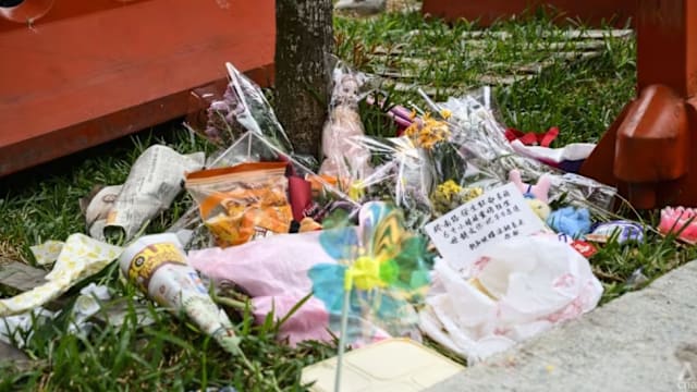 涉嫌牛车水撞毙六岁女童 38岁涉案女司机明控二罪