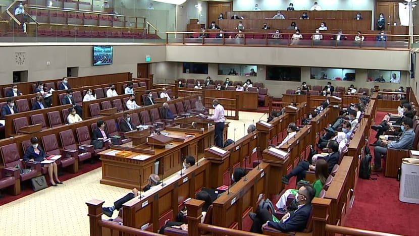 Law to counter foreign interference passed after long debate over its extensive powers