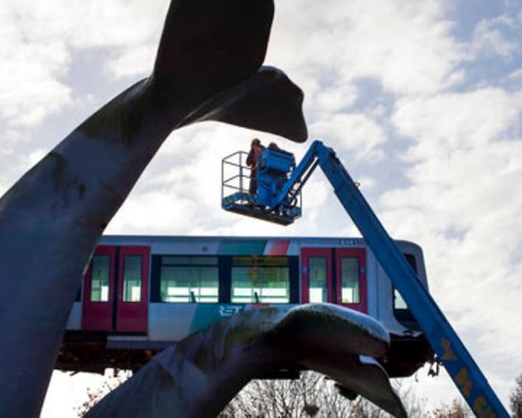 Dutch train caught by whale sculpture to be salvaged    