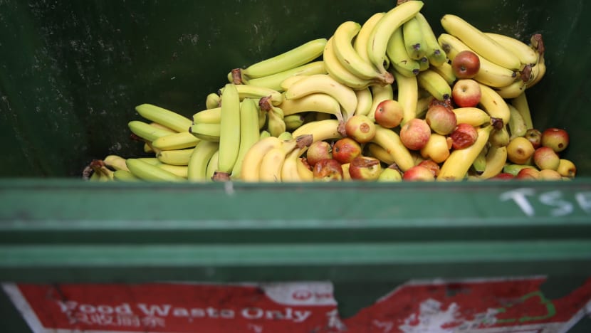 Masterplan to push Singapore towards zero-waste future