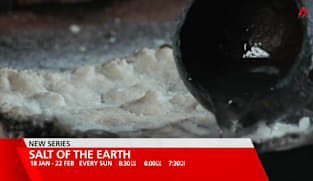 What's Coming Up - January Highlights