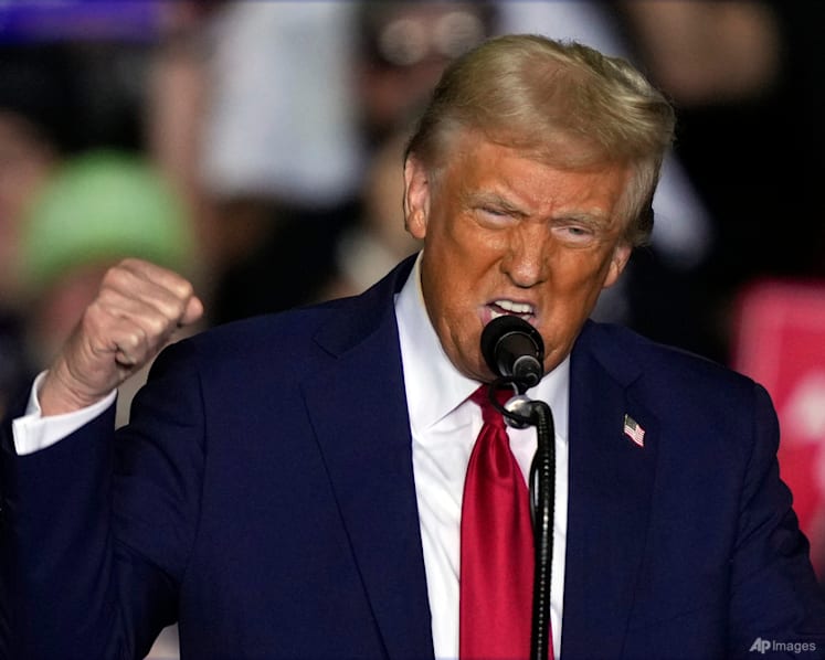‘Get ready for round 2’: Chinese social media reacts to Trump election victory 