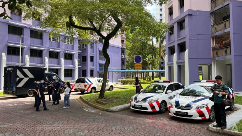 Woman accused of murdering her father in Sengkang flat remanded for psychiatric observation