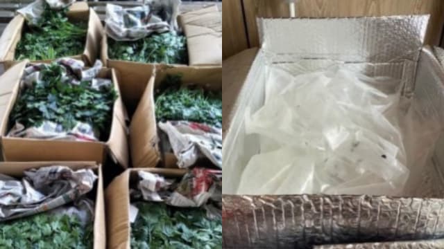 非法进口新鲜蔬菜 进口商被罚款6000元