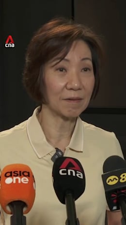 Singapore stands ready to assist Indonesia on forest fires causing haze: Minister Grace Fu