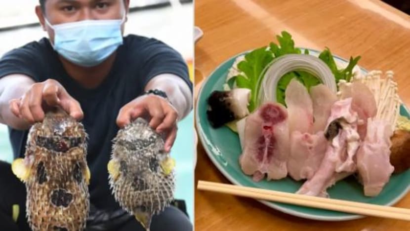 Keracunan ikan buntal di Johor: Laporan makmal dijangka siap tiga minggu lagi Keracunan ikan buntal di Johor: Laporan makmal dijangka siap tiga minggu lagi