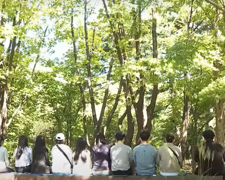 ‘Too much to handle’: Mental health remains taboo in South Korea despite high suicide rate