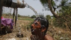 Related article image