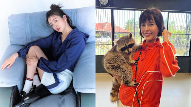 iROO打造运动品牌Cozy Punch，质感布料竟能养肤！林依晨、吴谨言、阿姐郑惠玉都穿