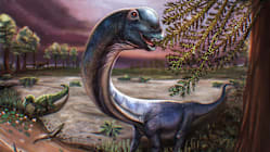 Related article image