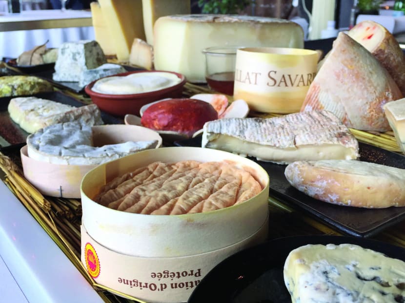 Close encounters of the curd kind. Photo: Saint Pierre