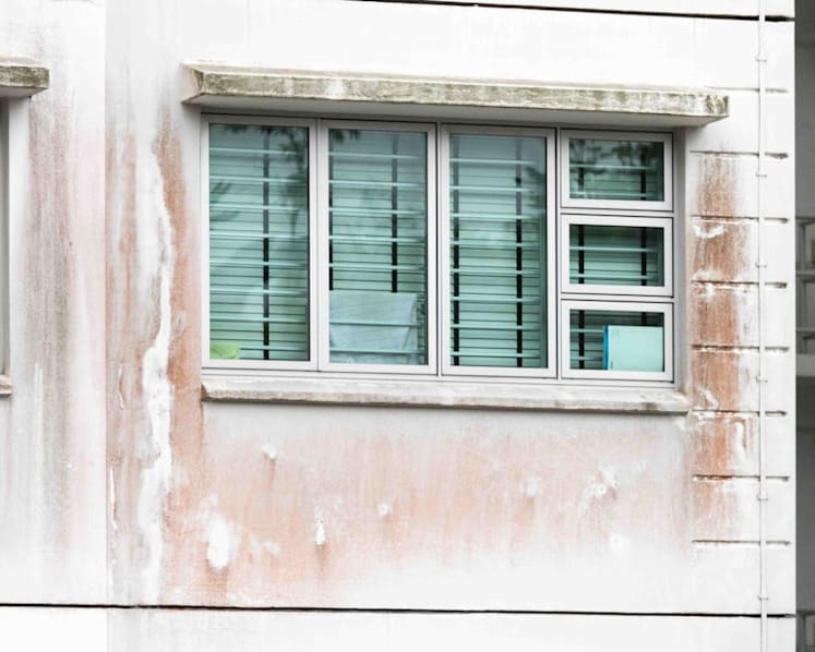 Punggol BTO residents also complain of mouldy facade; HDB says all new flats get 2 coats of algae-resistant paint