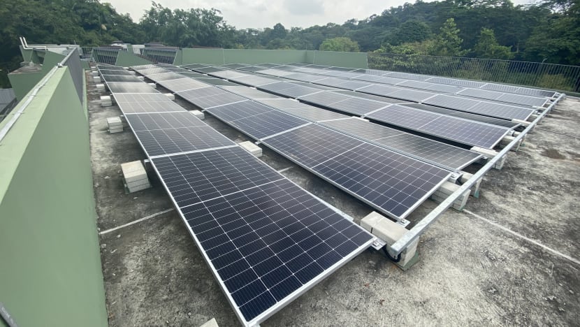 Mandai set to become first carbon-neutral precinct in Singapore by 2024