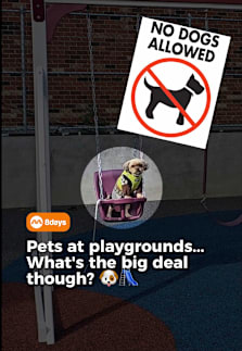 A dog at a children’s playground in Choa Chu Kang has sparked debate after a mum complained about seeing it sitting on the swings and slide while being fed treats. 🐶🛝 Following the incident, Chua Chu Kang Town Council put up multiple “no pets” signs around the playground, citing hygiene and safety concerns — but the response has also got people talking about whether dogs at playgrounds are really such a big deal. Some Singaporeans say children’s playgrounds should remain pet-free because of hygiene concerns. Others think the opposite, where some children can be more unsanitary than the pets. Some also think that there are more pressing public concerns than allowing pets in the playground. So should dogs be allowed at children’s playgrounds in Singapore? And is the real issue dogs being nearby — or letting them onto the play equipment itself? Here’s what Singaporeans had to say about sharing our neighbourhood spaces. 🐕👶 #8dayssg #8dayssgtrending #pets #playground #sgviral