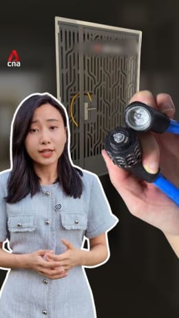 Flat owners in new BTO estates file police reports over alleged break-ins during renovation works