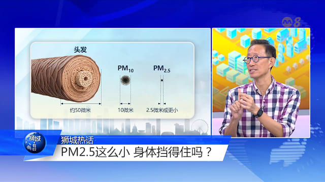 狮城有约 | PM2.5可进入血液？教你看懂烟霾戴对口罩
