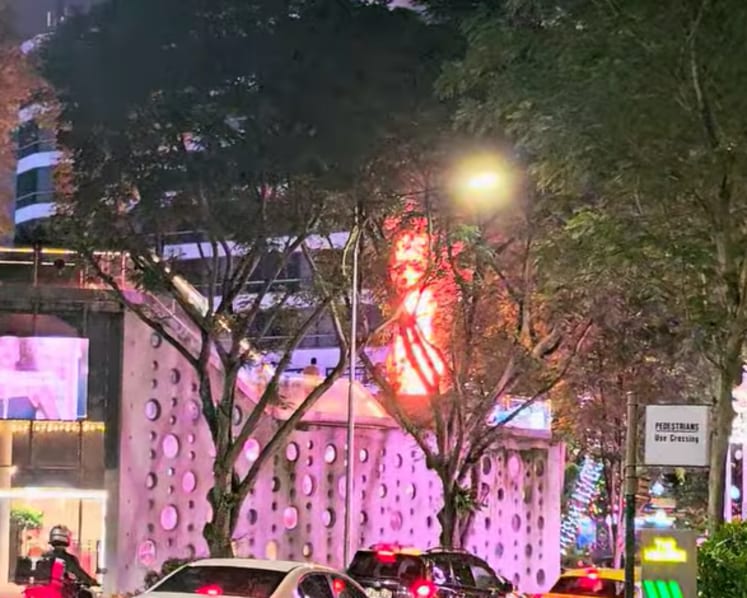 Christmas tree on Design Orchard mall rooftop catches fire