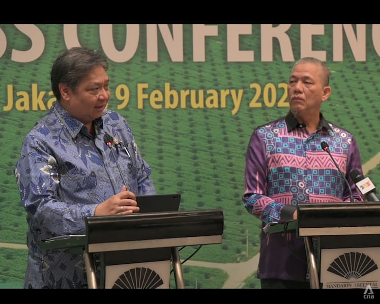 Joint mission by Indonesia, Malaysia to EU in bid to counter ‘discrimination’ against palm oil industry