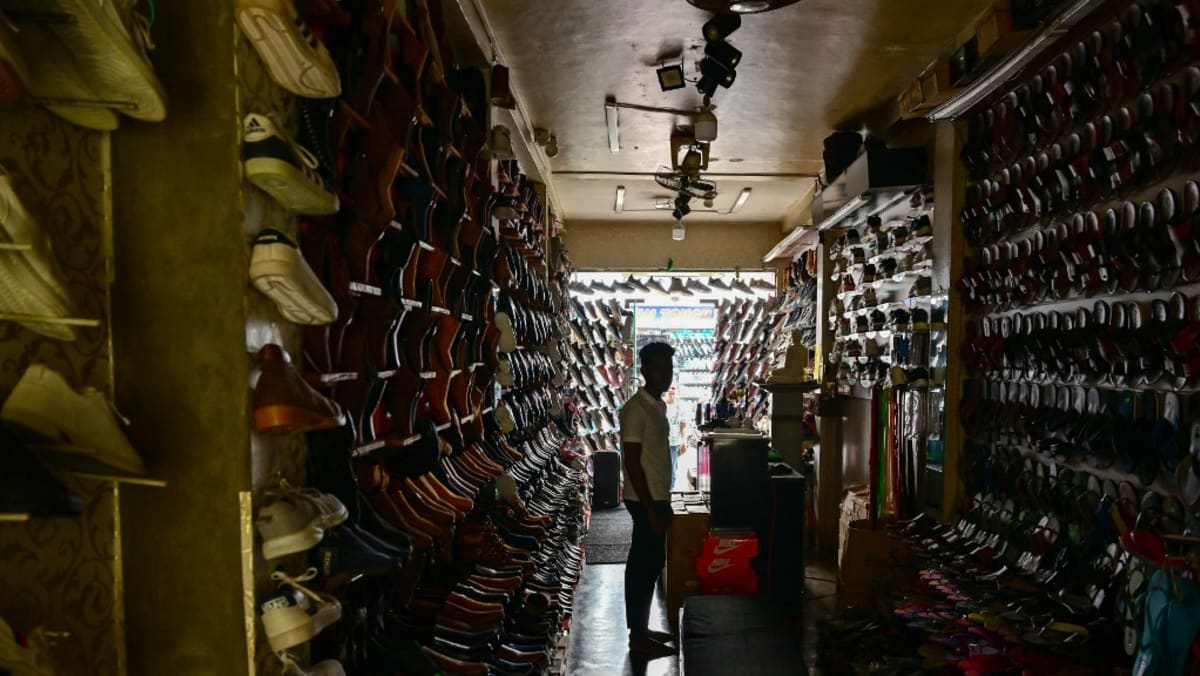 Monkey causes nationwide blackout in Sri Lanka