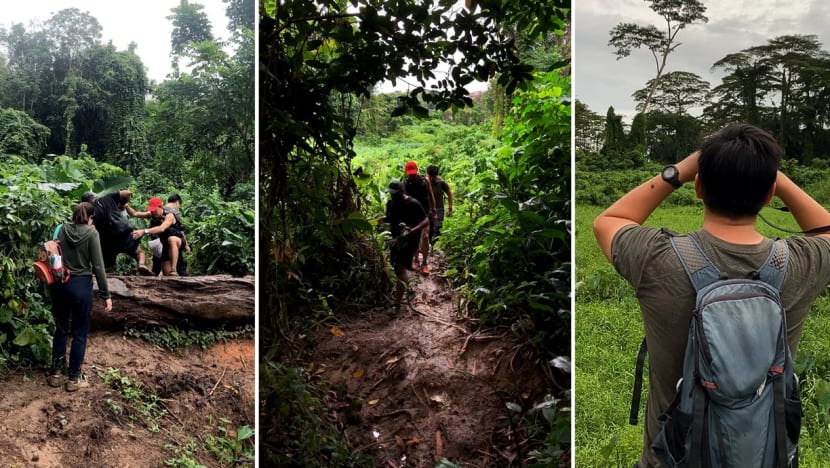 A gem hidden in plain sight: TODAY journalist checks out the wonders of Clementi Forest