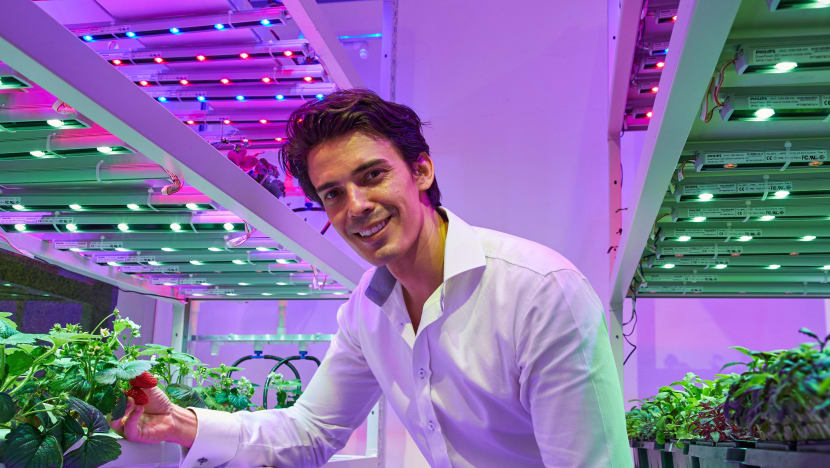 After Growing Strawberries In S’pore, He Now Wants To Produce Grapes…And Maybe Our First Local Wine