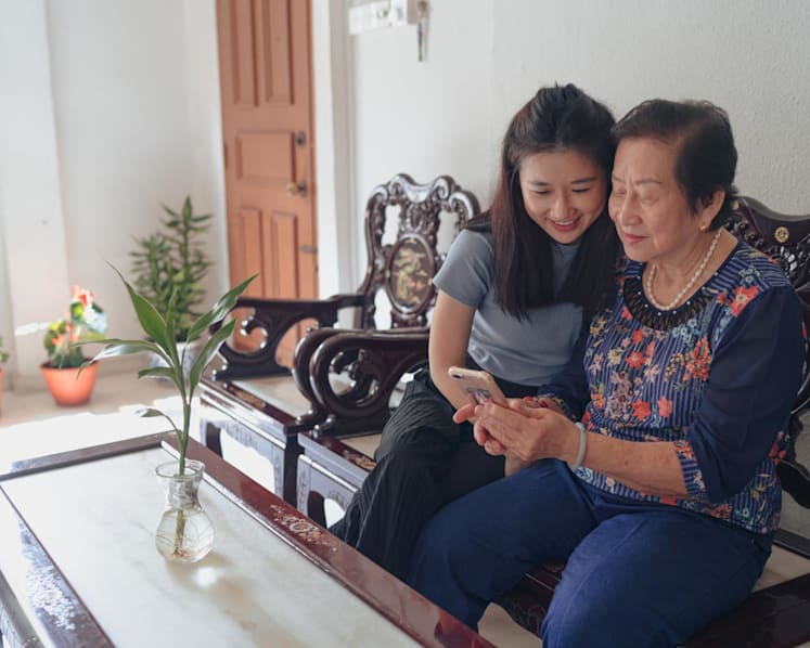 Singapore launches digital 'skills for life' framework to help people better perform daily tasks online