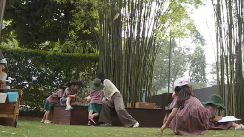 Haze risk in Singapore: Preschools ready to move activities indoors if air quality worsens