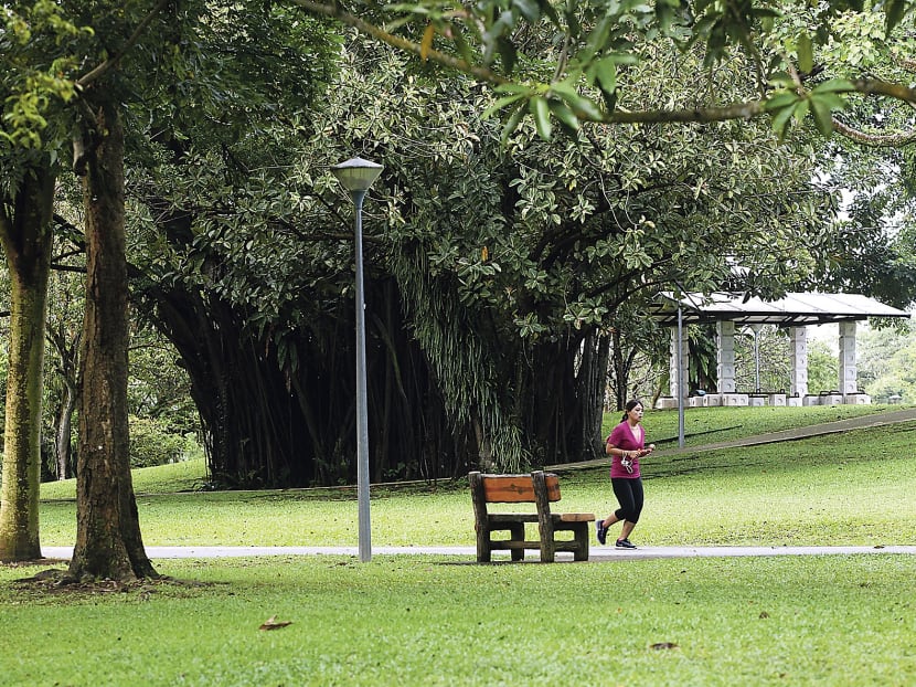 NParks enforcement officers frequently patrol Singapore’s parks, nature areas and park connectors at different times of the day, including at night. They ensure these spots are safe for users. PHOTO: OOI BOON KEONG