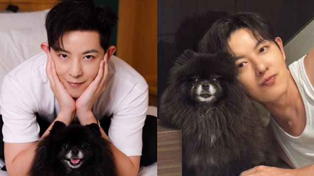 敖犬为爱犬办头七，居然真的等来“奇迹”！