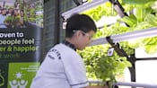Micro gardens take root in Singapore as urban farming demand grows