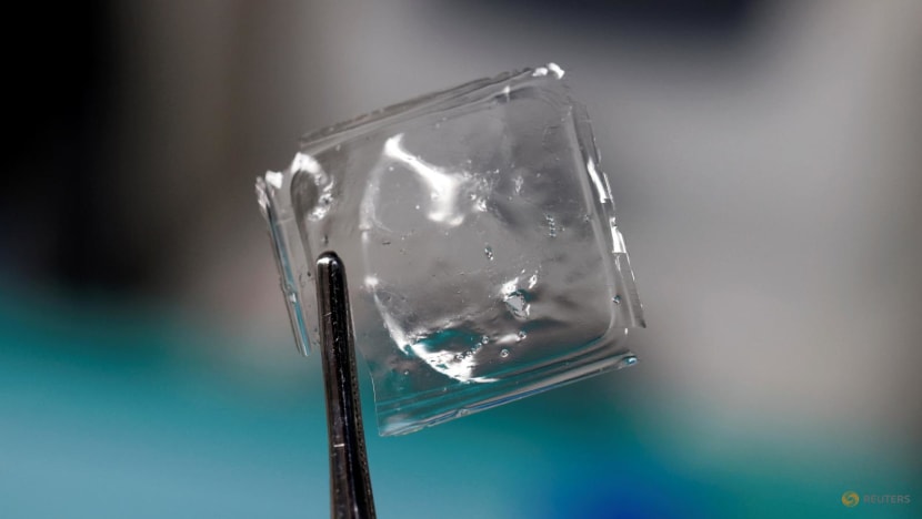 Scientists in Japan develop plastic that dissolves in seawater within hours Scientists in Japan develop plastic that dissolves in seawater within hours