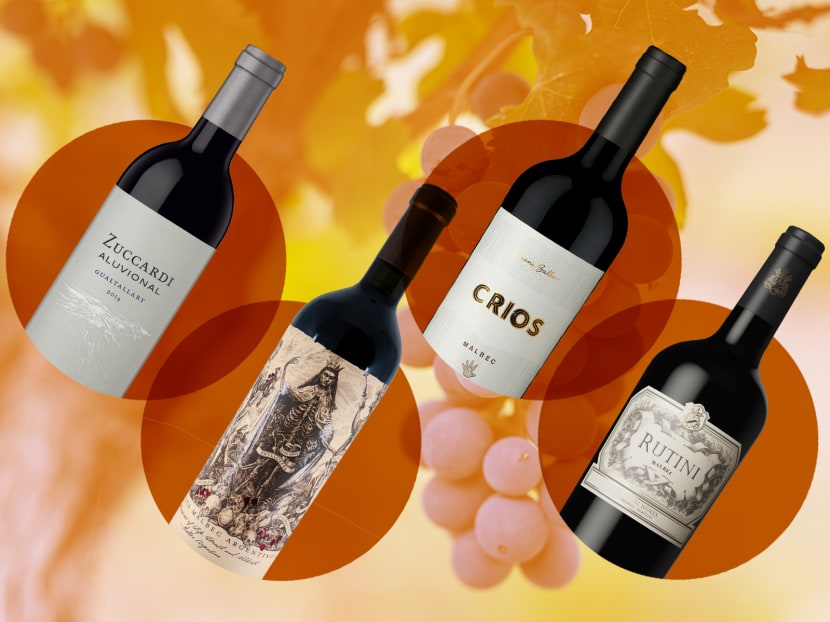 The rise of Malbec: What you need to know about Argentina’s star red wine
