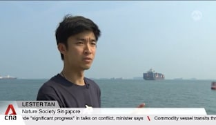 Singapore nature groups fear biodiversity loss from proposed western island project