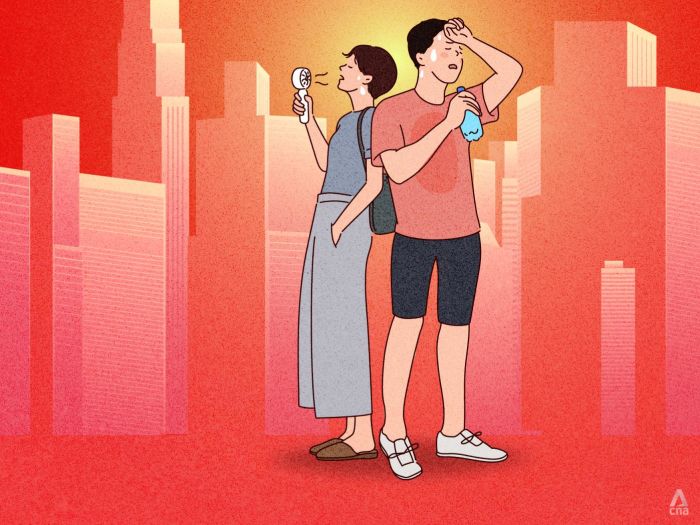 From 'fungi tiles' to S$400 cooling vests: How can Singapore keep its cool as temperatures rise?