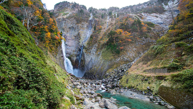 日本富山县景点发生熊袭击事件  两人受伤
