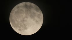 Related article image