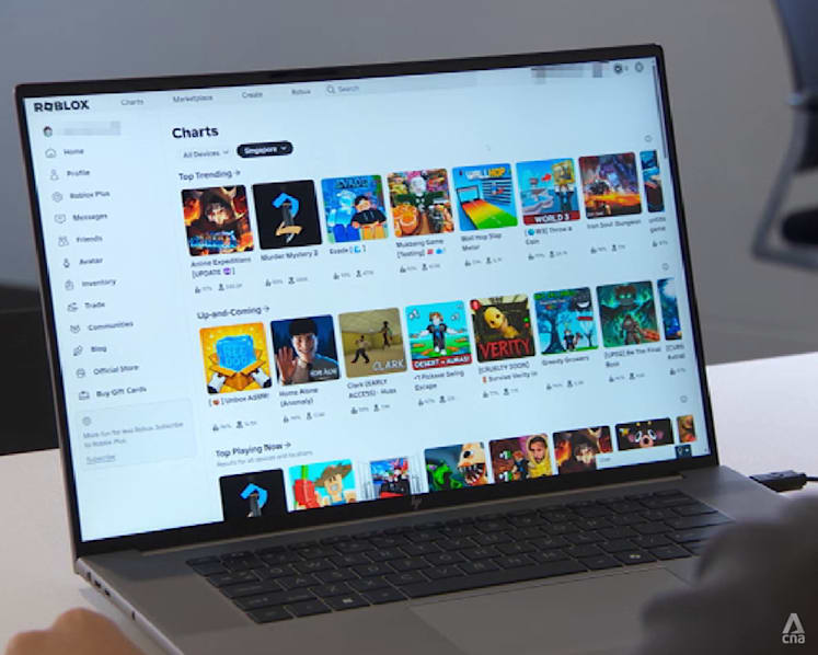 Understanding the road to online radicalisation: Why platforms like Roblox are only one part of the puzzle