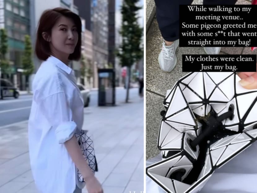 Jeanette Aw was walking in Tokyo when a pigeon pooped right in her designer bag