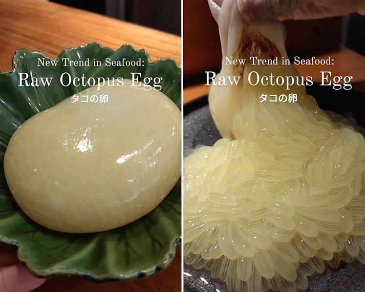 #trending: ‘This is the line for me’ — netizens voice disgust at raw octopus eggs sold at Japanese sushi bar in Singapore