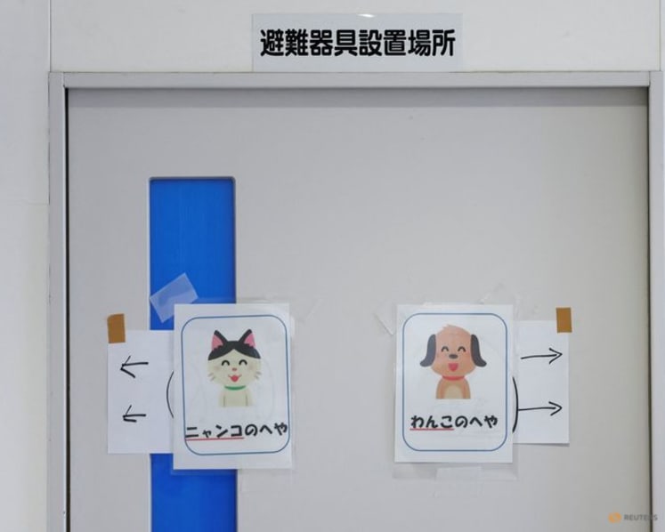 Dogs allowed: Animal hospital opens doors to Japan quake survivors and their pets