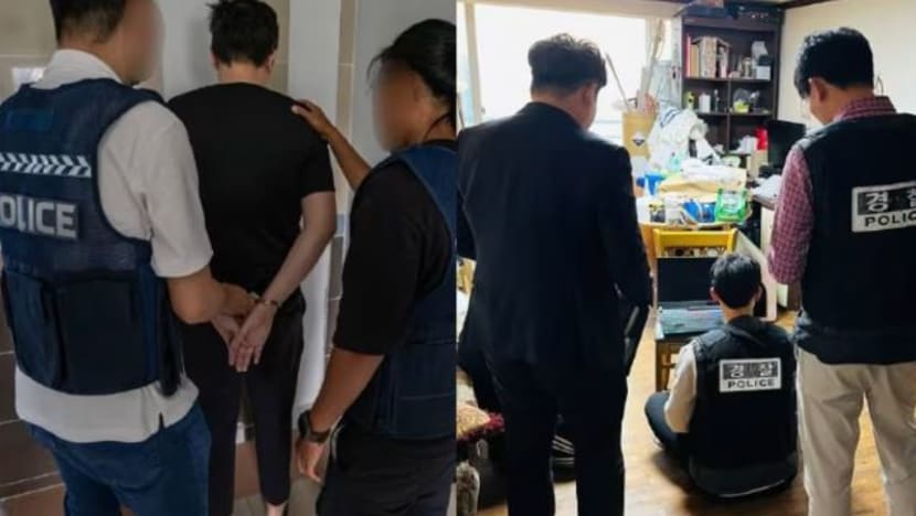 Polis SG, Hong Kong & Korea Selatan berkas 272 suspek dalam operasi bersama banteras pornografi kanak-kanak 