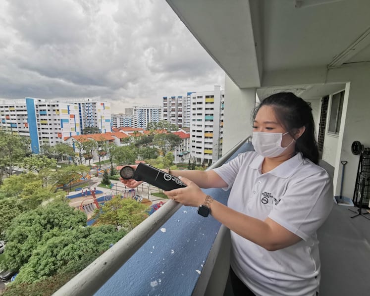 Releasing mosquitoes to fight dengue: How Singapore took Project Wolbachia from lab to heartlands Releasing mosquitoes to fight dengue: How Singapore took Project Wolbachia from lab to heartlands