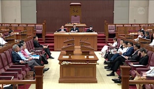 Committee of Supply 2026 debate, Day 2: Sim Ann and Vivian Balakrishnan respond to clarifications sought on Singapore's foreign policy