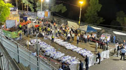 Related article image