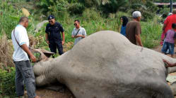 Related article image