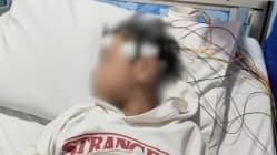 Related article image