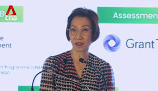 Singapore cannot be passive bystander in face of climate change: Grace Fu 
